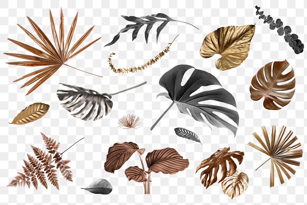 Metallic tropical leaf design element set