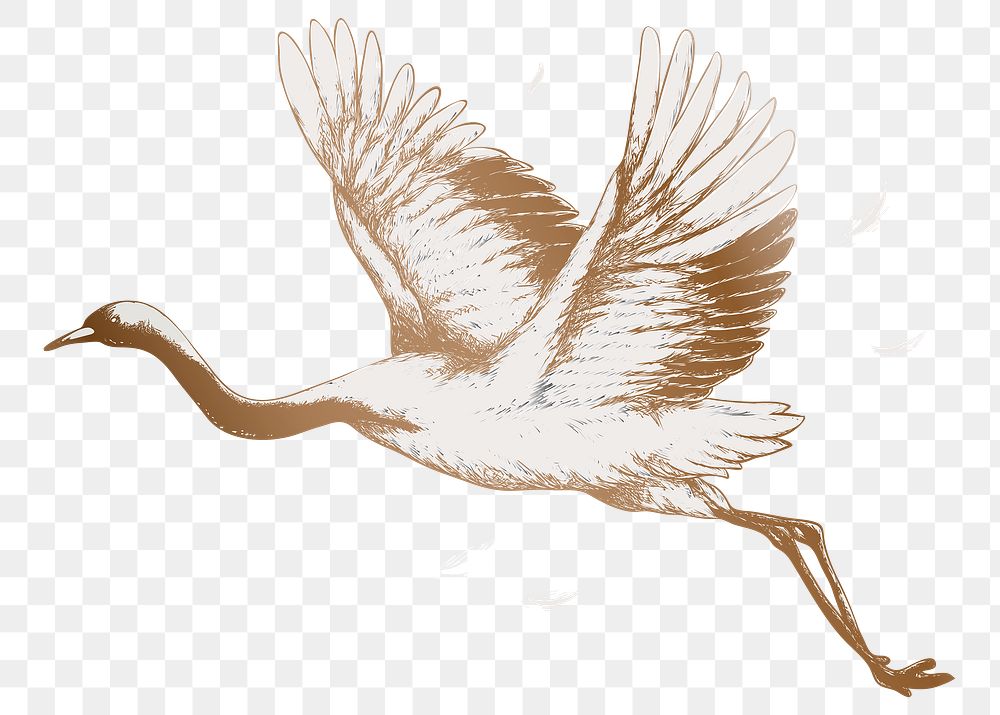 Flying crane vintage illustration transparent png design remix