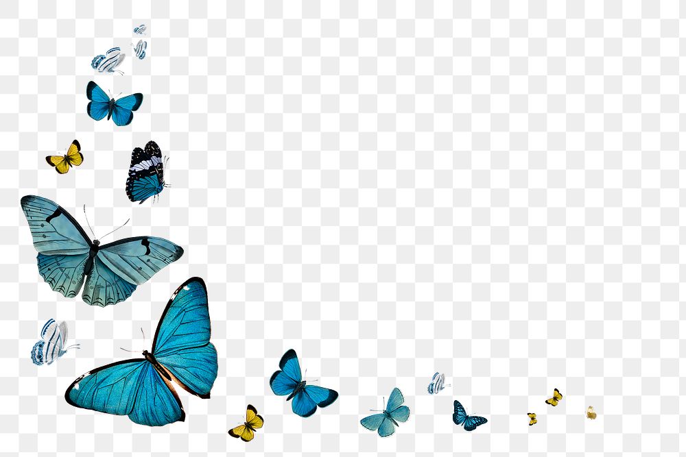 Vintage blue butterflies with a copy space