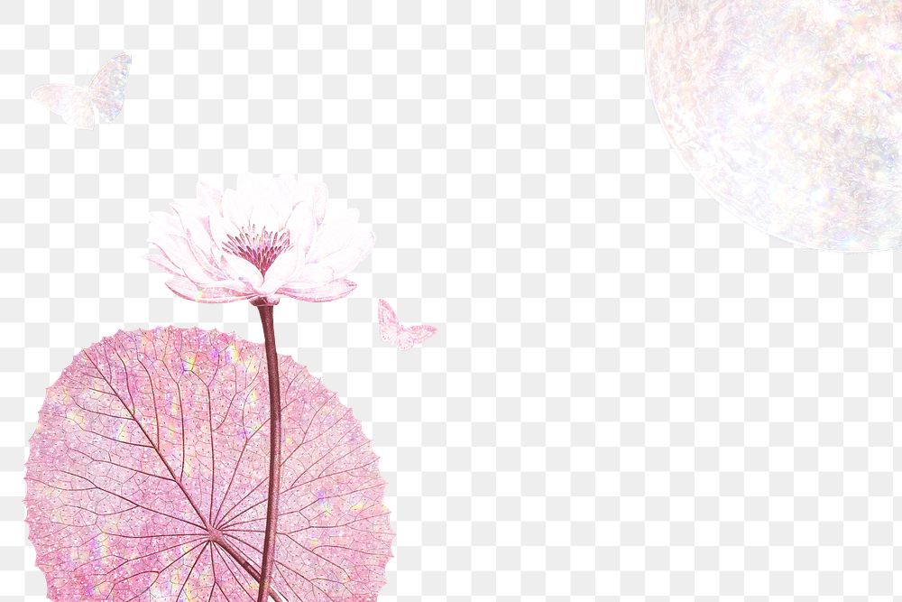 Pink holographic water lily background design element
