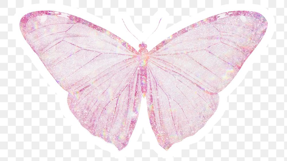 Pink holographic butterfly sticker with a white border