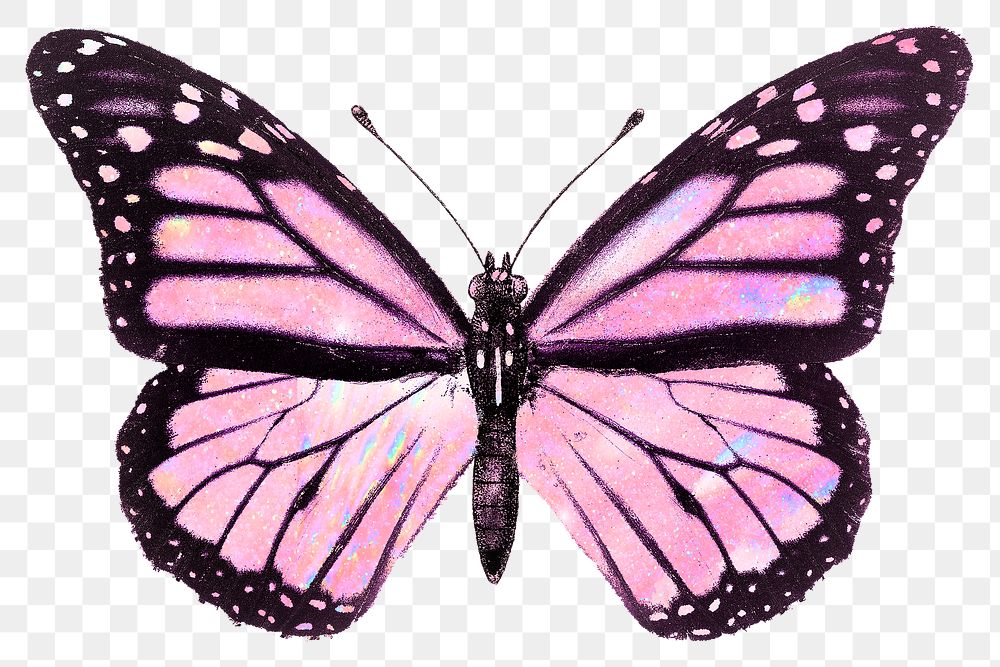 Pink holographic butterfly design element