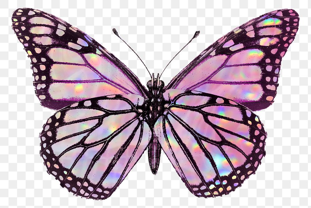 Pink holographic Monarch butterfly design element