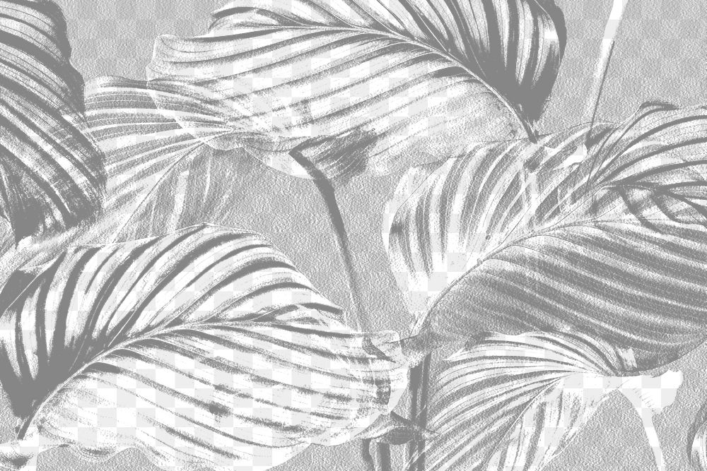White calathea leaves on a gray background