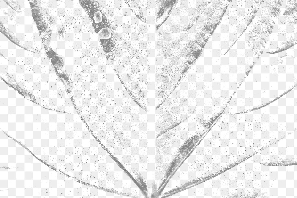 Gray alocasia leaf background design element 