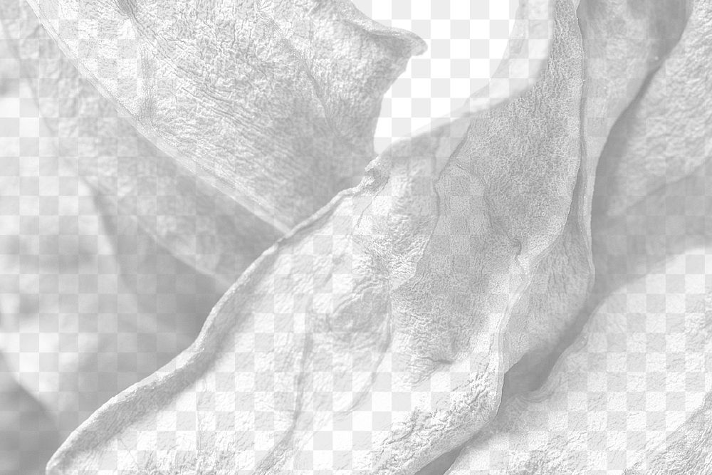 Closeup of dried leaves design element