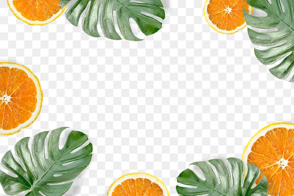 Green Monstera leaves and orange frame design element