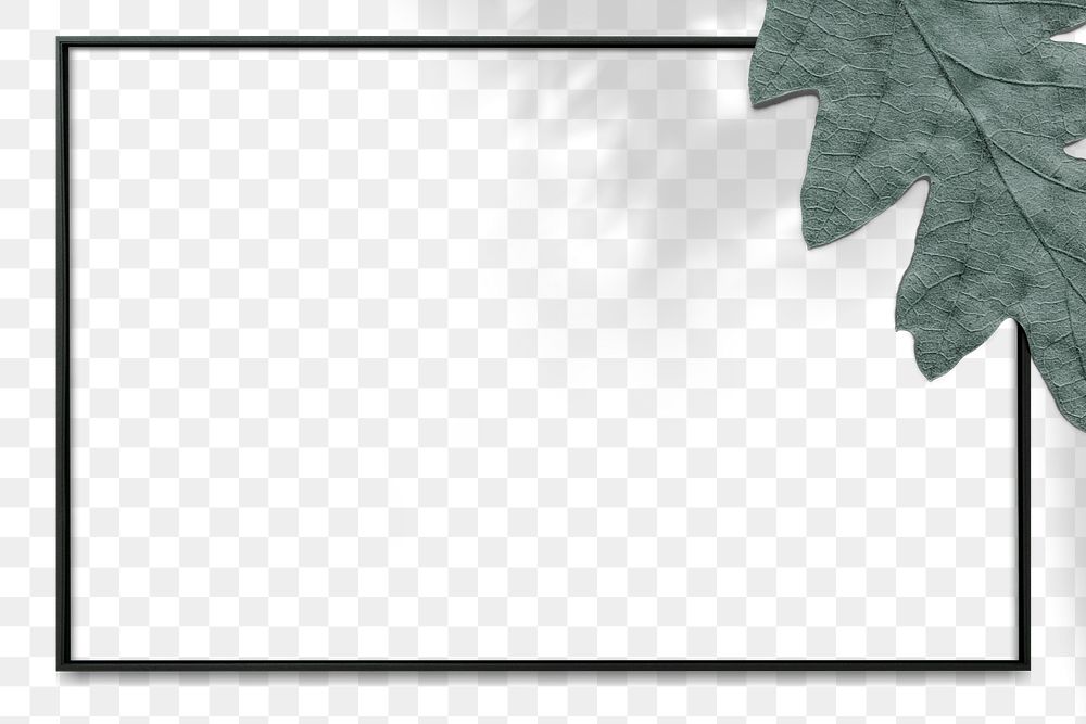 Png oak leaf black frame