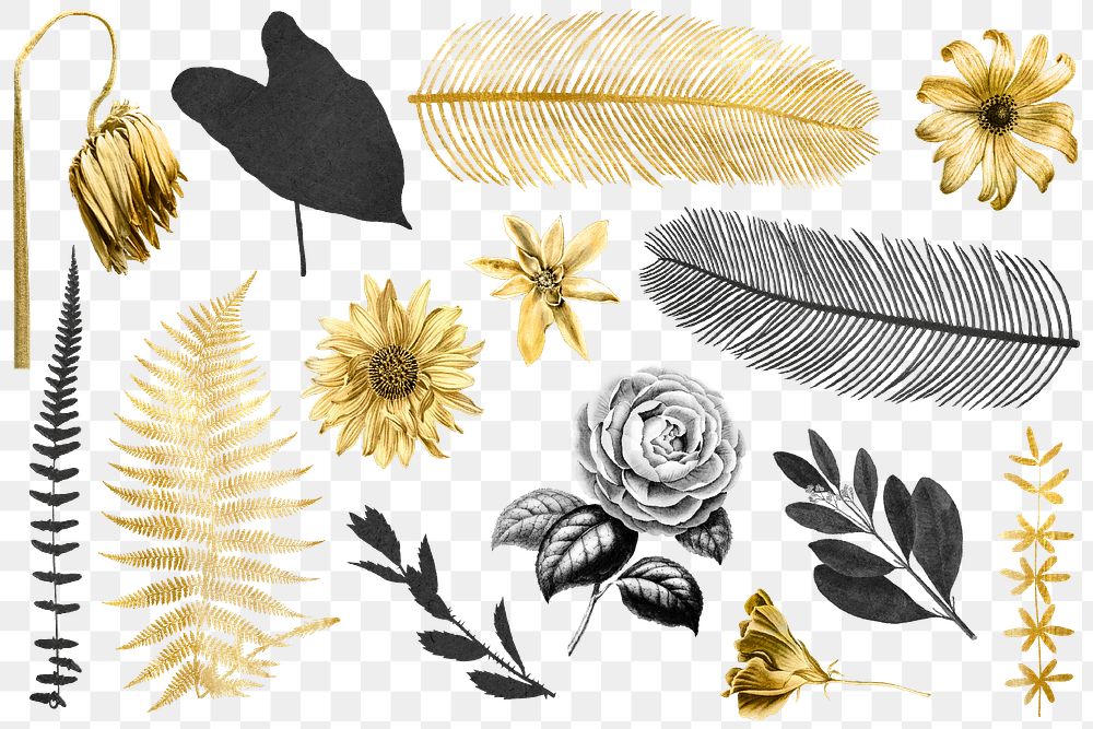 Vintage black gold leaf flower png illustration sticker collection