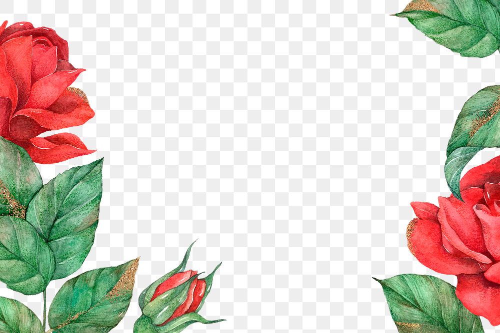 Red rose border banner png transparent background