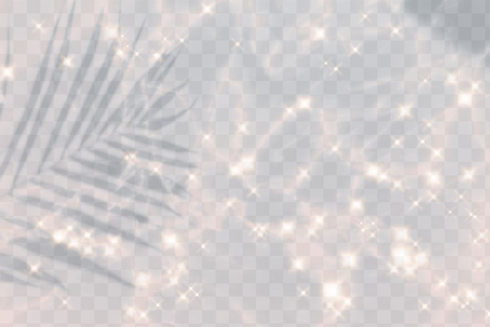 Shadow png of palm leaf with sparkle in gray transparent background