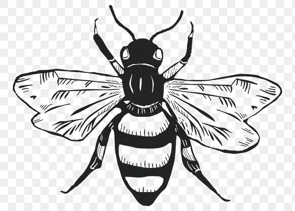 Vintage bee png insect sticker linocut stencil pattern clipart
