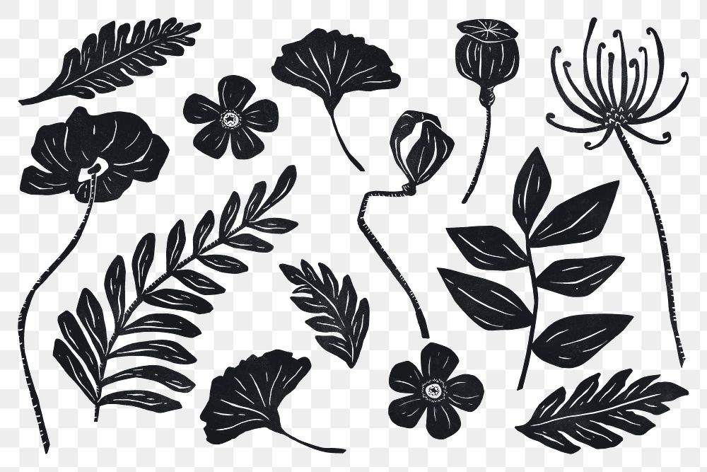 Black flowers png sticker hand drawn botanical collection