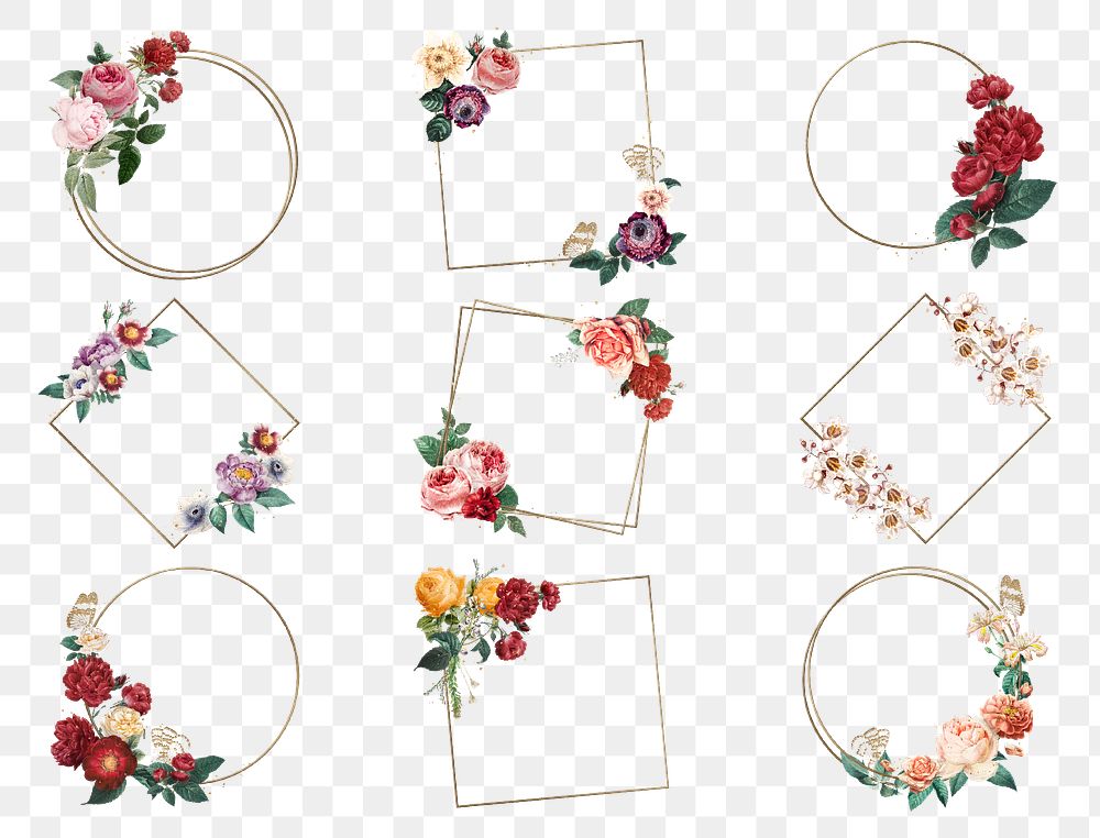 Luxury summer roses gold png frame watercolor illustration collection