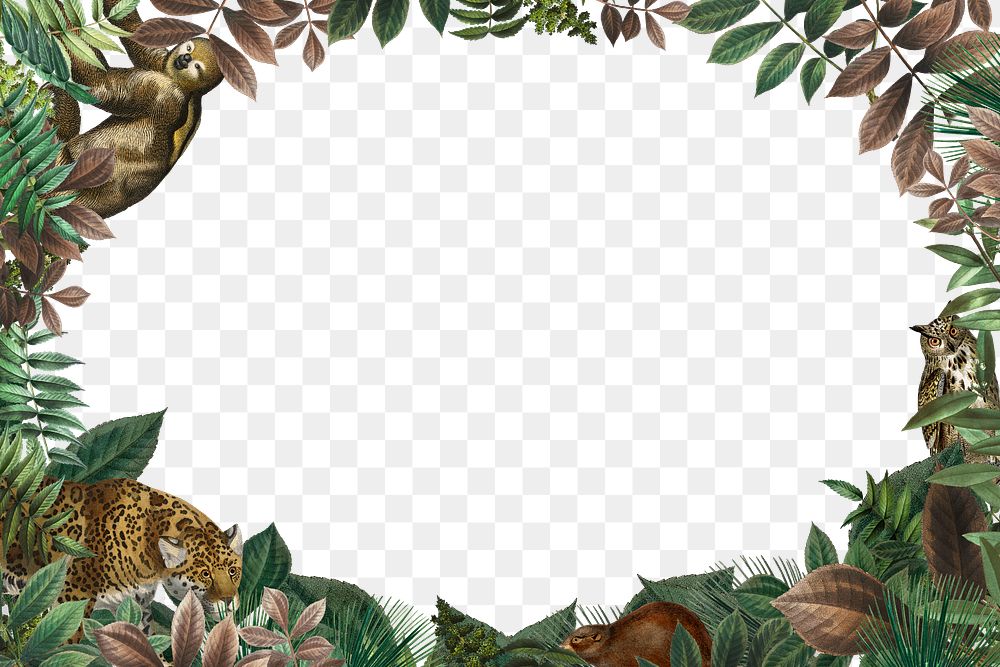 Jungle oval frame png transparent background