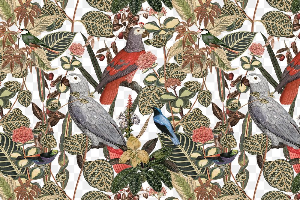 Jungle bird png pattern background vintage animal illustration