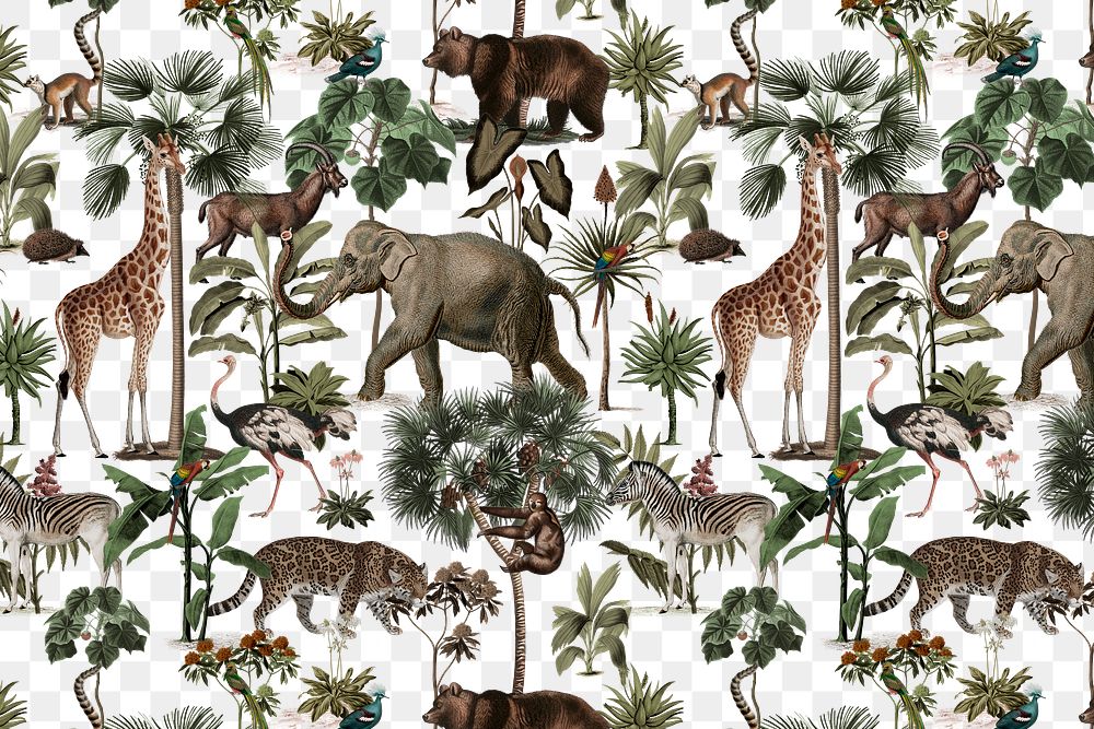 Jungle png animal pattern transparent background vintage wildlife illustration