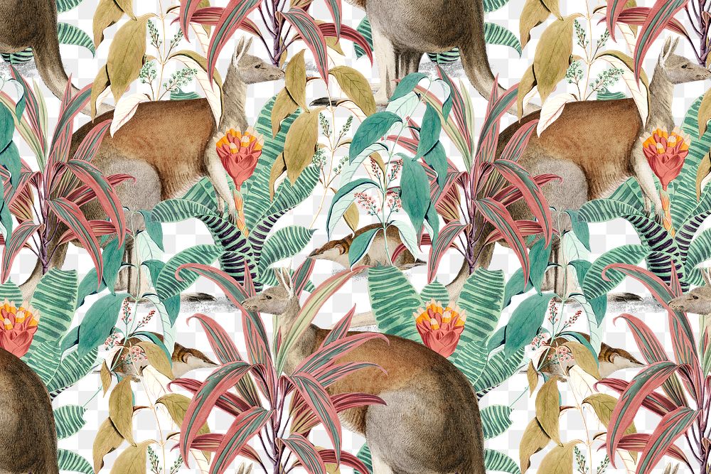 Jungle kangaroo png pattern background vintage animal illustration