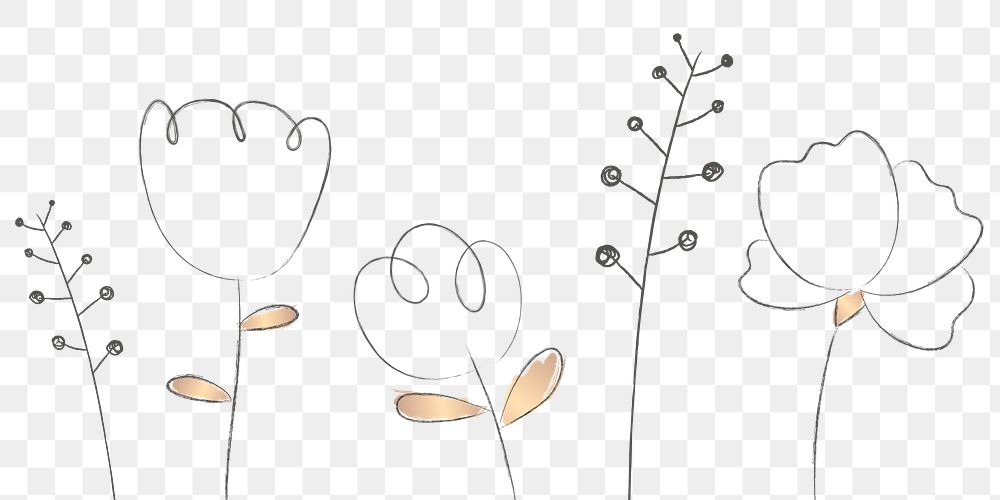 Wildflowers png hand drawn flower and plant with transparent background