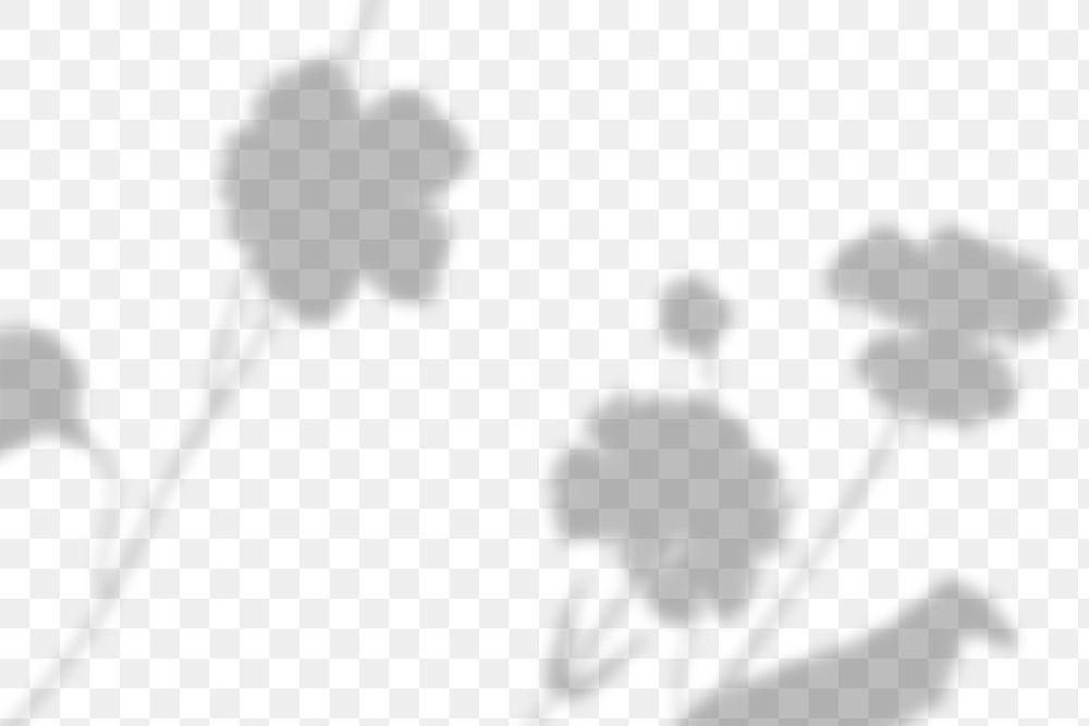 PNG cute flower shadow design element