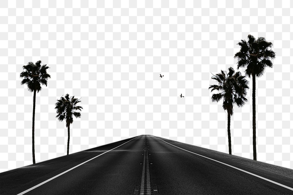 PNG road with palm trees | Premium PNG - rawpixel