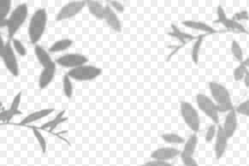 Png leaves shadow background, botanical shadow in transparent design
