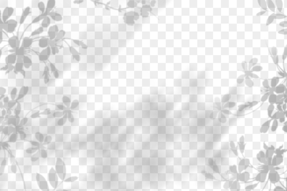 Png plant shadow background, botanical shadow in transparent design