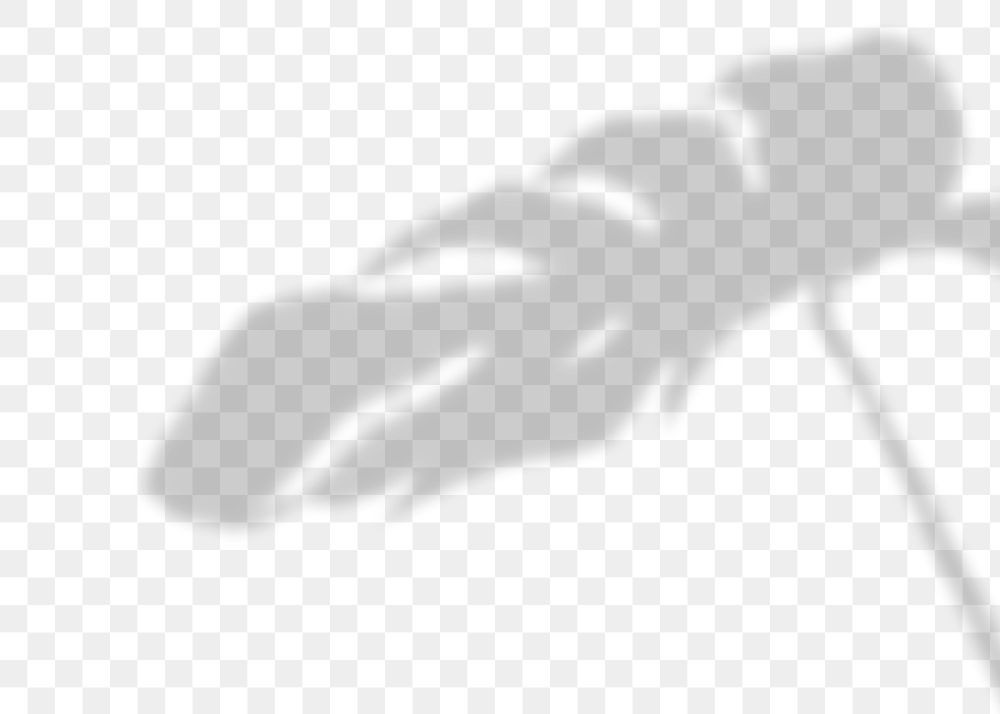 Png leaves shadow background, botanical shadow in transparent design