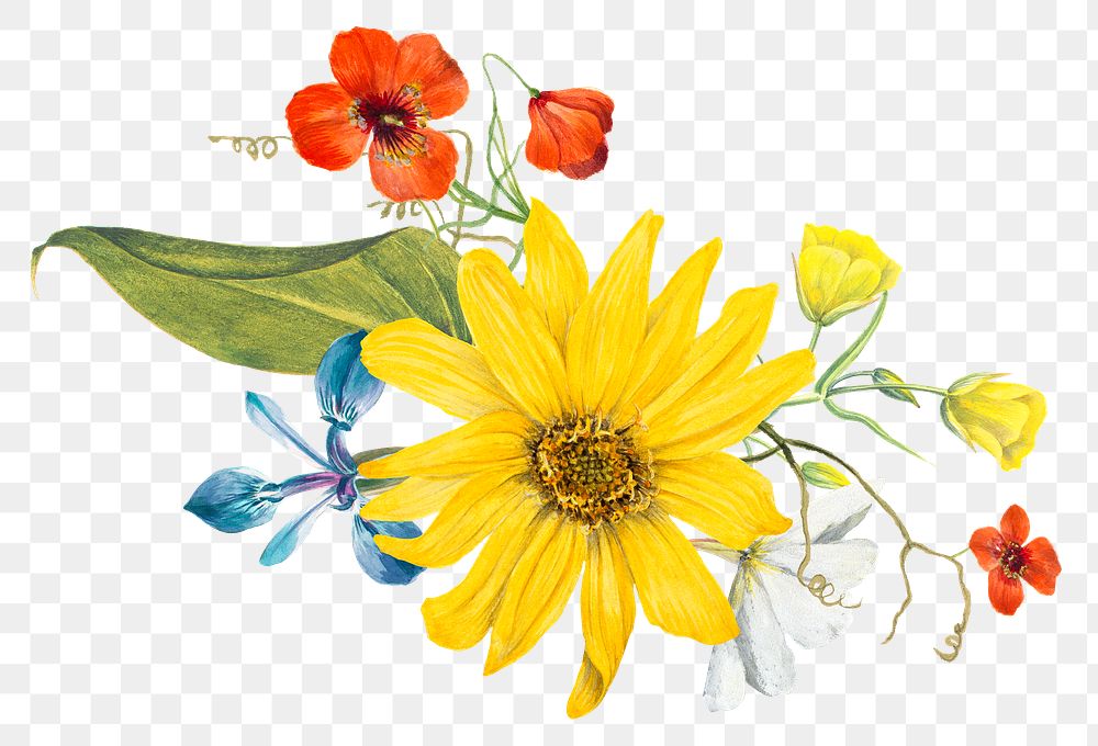 Spring flower png sticker illustration, remixed from public domain artworks