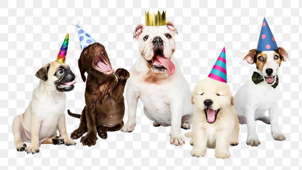 Party puppies png sticker, animal collage element on transparent background