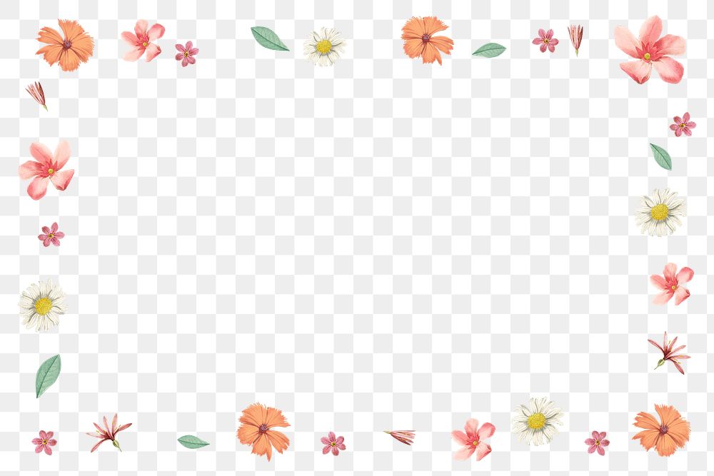 Spring flower frame png background, aesthetic design