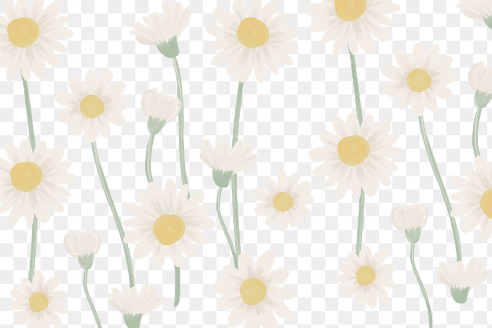 Daisy pattern png, transparent background, white flower design