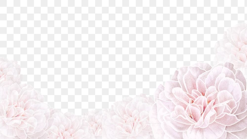 Pink flower png, transparent background, aesthetic border