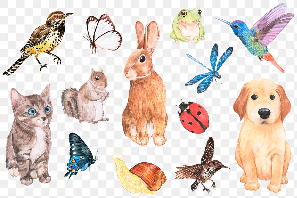 Animals elements in watercolor png sticker collection