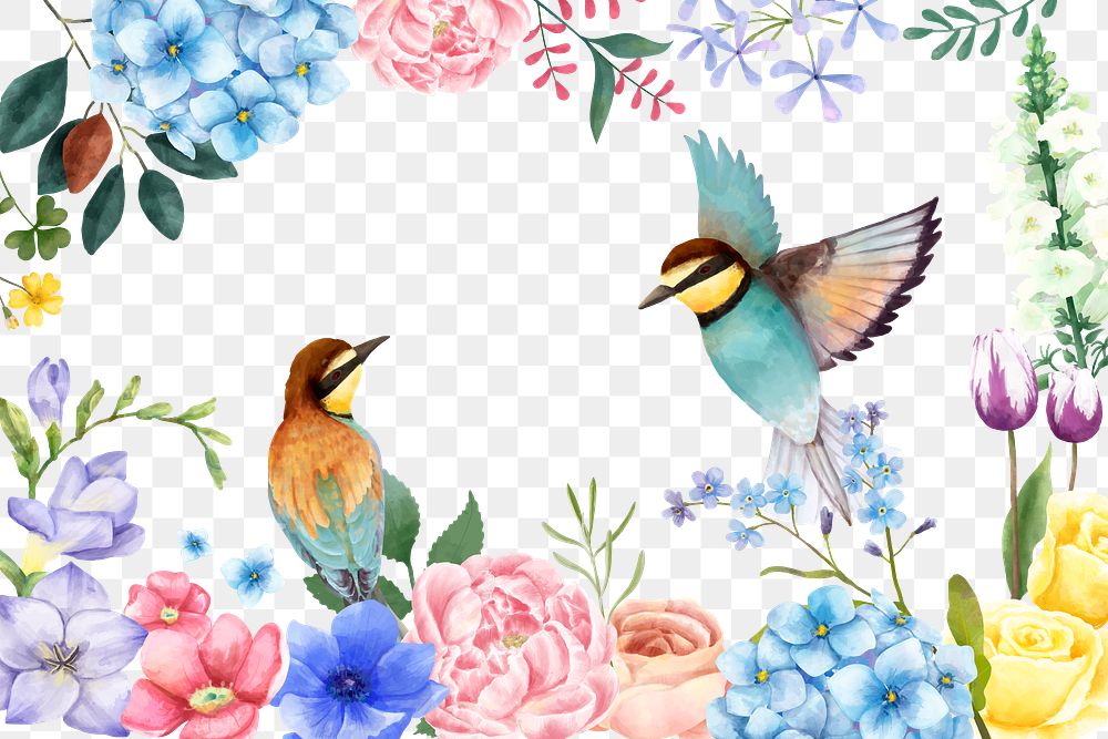 Colorful frame png with birds floral illustration