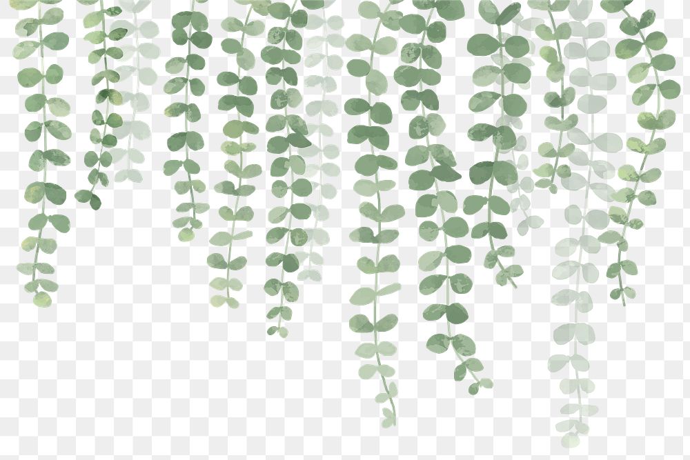 Plant PNG Images | Free PNG Vector Graphics, Effects & Backgrounds -  rawpixel