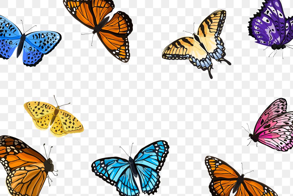 Aesthetic butterfly png border frame, transparent background