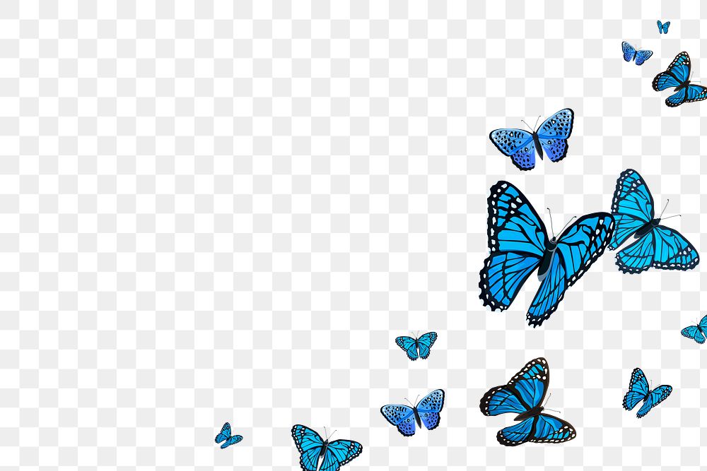 Details 100 butterfly png background