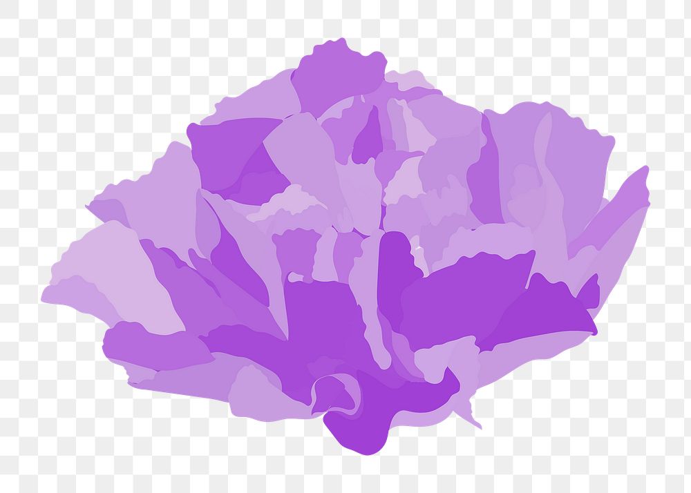 Aesthetic carnation png flower sticker, purple design on transparent background
