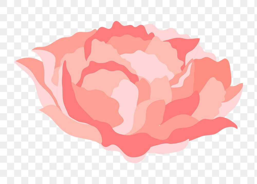 Aesthetic carnation png flower sticker, pink design on transparent background