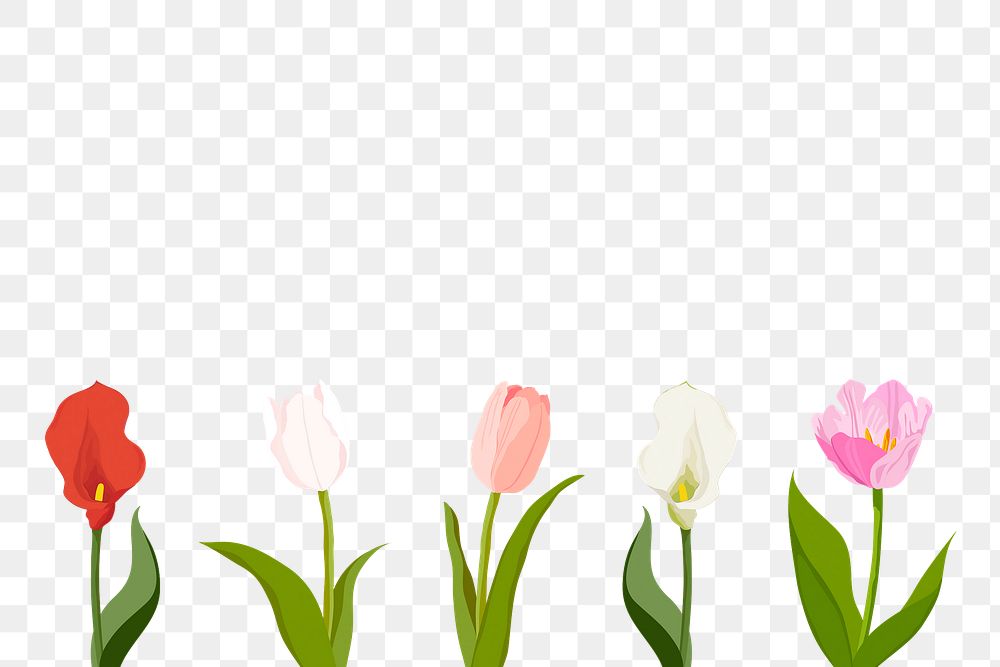 Tulip flowers png border frame, transparent background