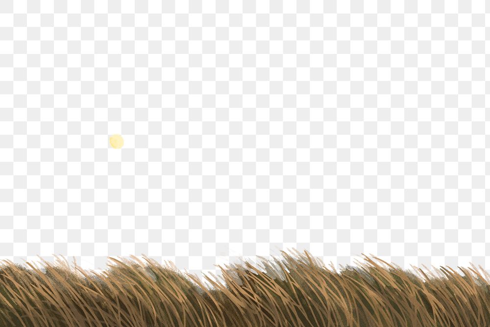 Aesthetic field png background banner, simple wheat design, transparent background