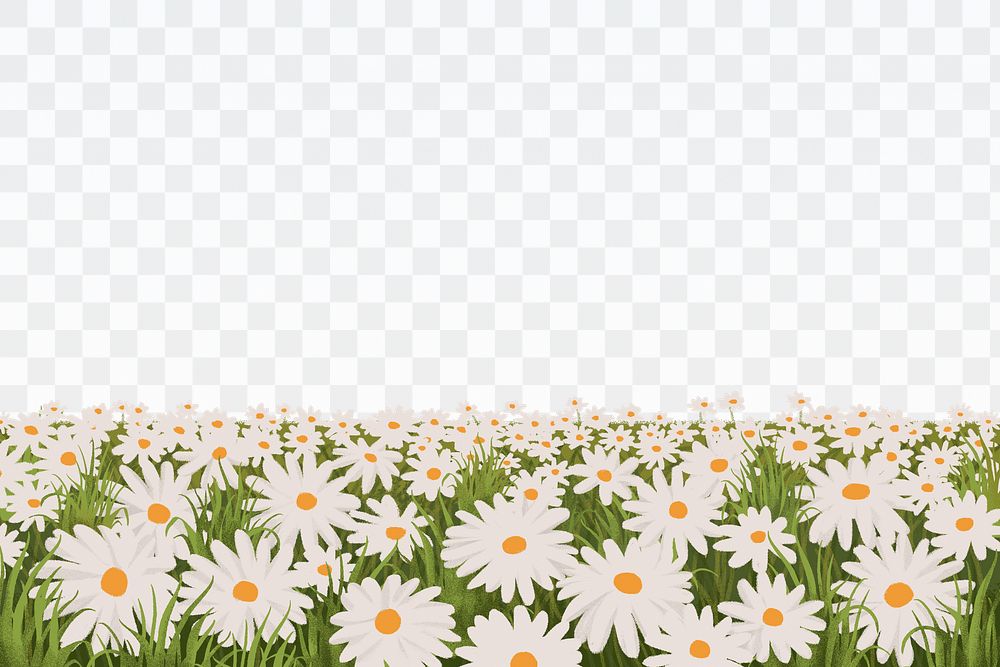 Png Daisy flower field border background, aesthetic nature design, transparent background