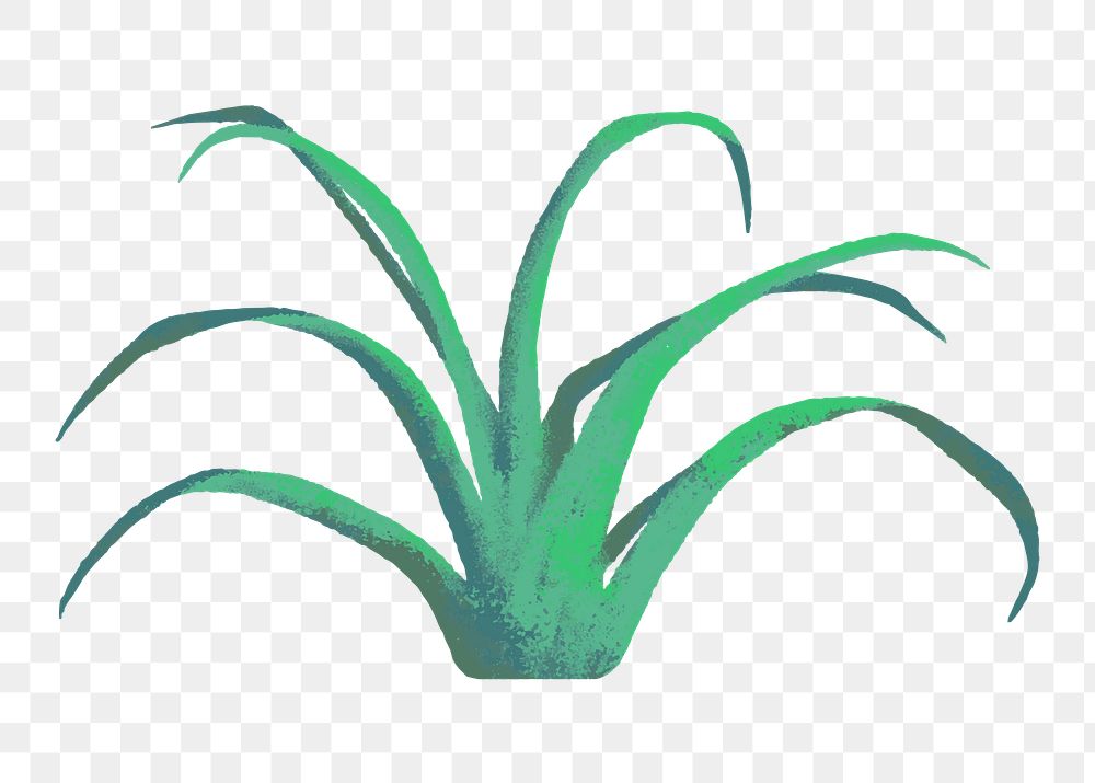 Grass png clipart, semi real digital paint design, transparent background