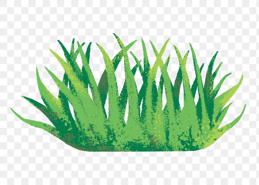 Nature png sticker, minimal grass design, transparent background