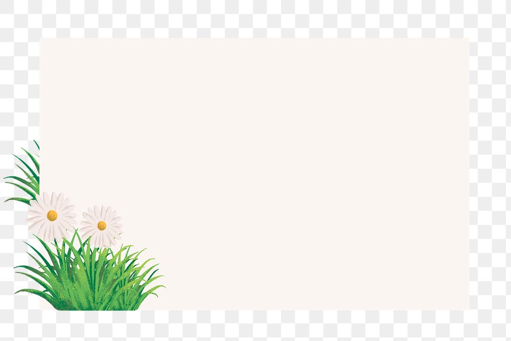 Daisy flower png frame background, simple nature design, transparent background