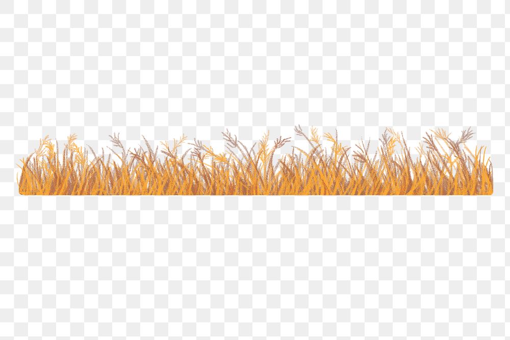Wheat field png clipart, semi real digital paint design, transparent background