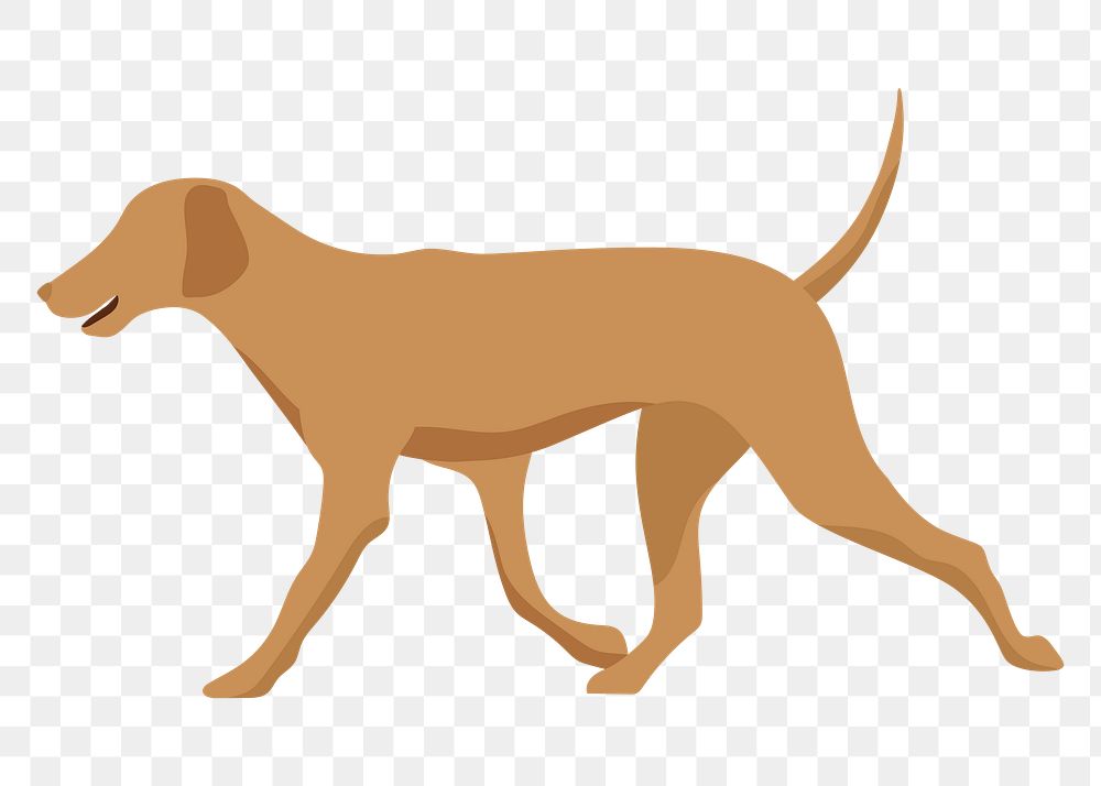 Cute dog png sticker, Labrador Retriever, transparent background