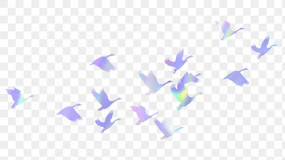 Flying birds png silhouette sticker, holographic animal illustration on transparent background