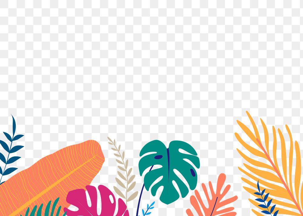 Summer botanical png border clip art, tropical graphic element on transparent background